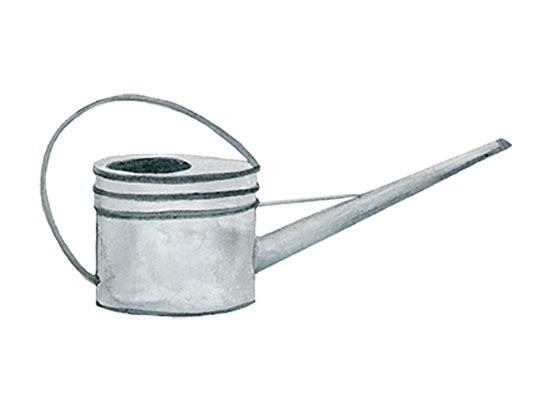 a silver watering can
