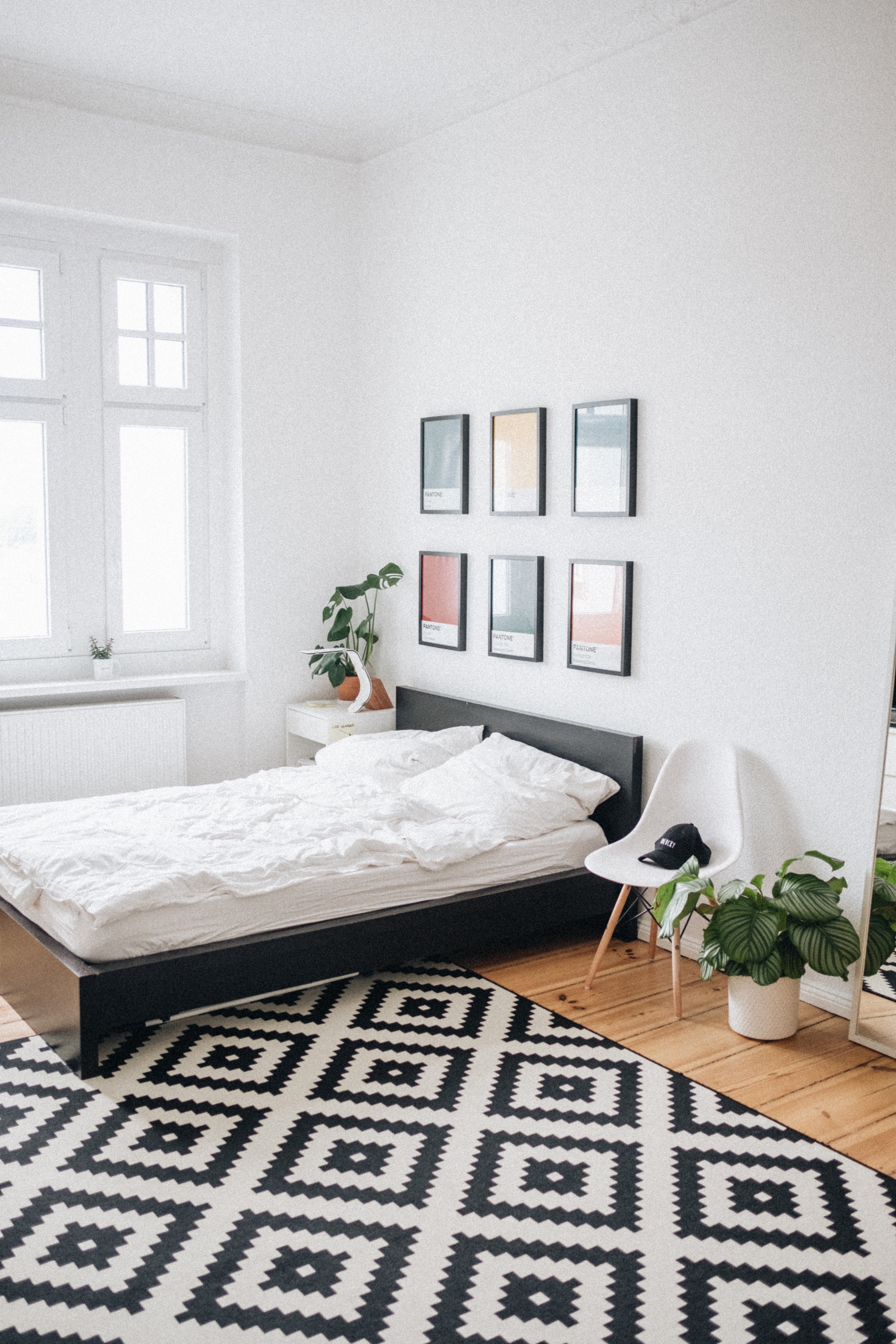 a bright white walled bedroom decorated with a small calathea obtusifolia and a monstera plant