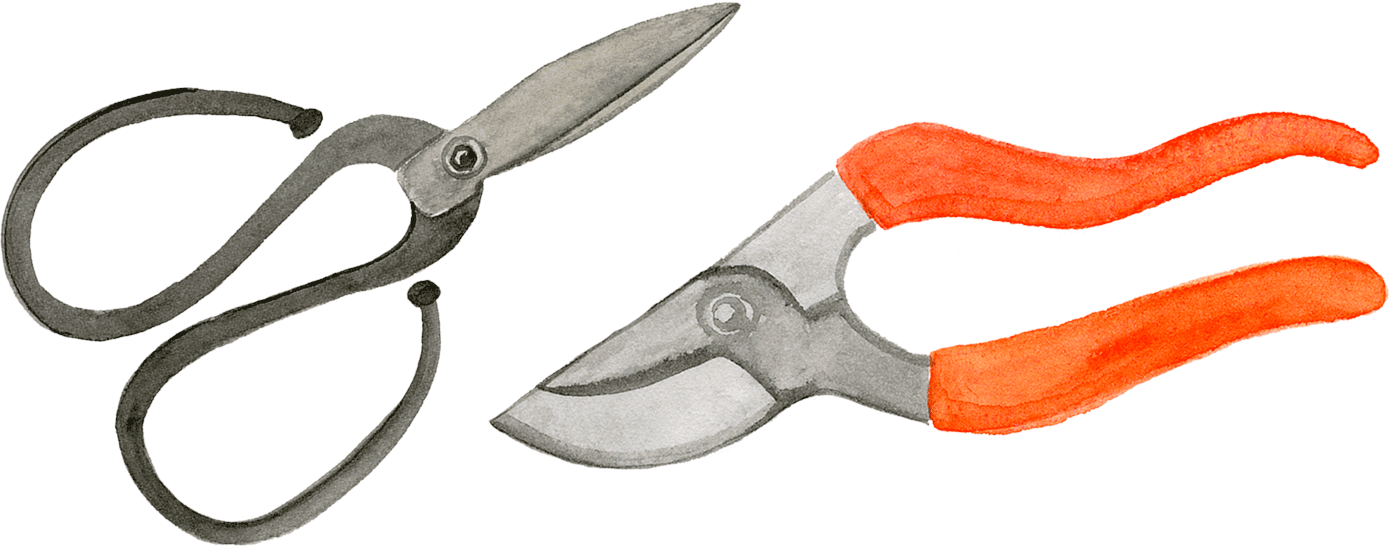 image of shears and an orange pruner